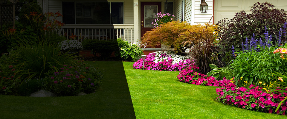 Crane Landscapers